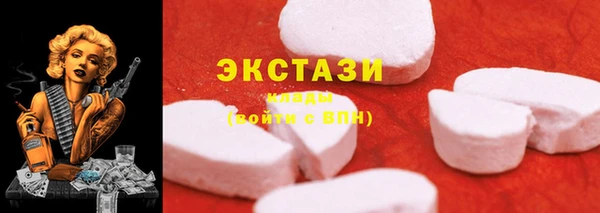МДПВ Чекалин