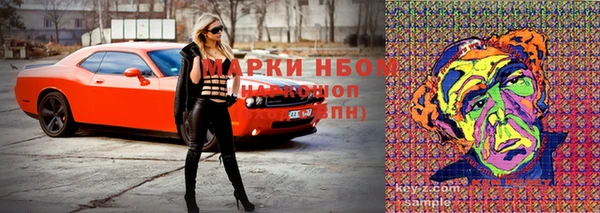 сатива Вязьма