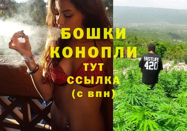 МДПВ Чекалин