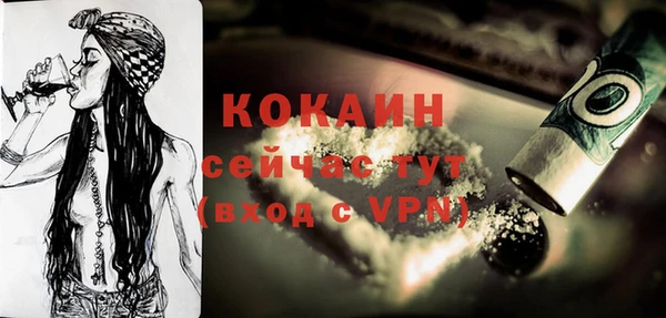 МДПВ Чекалин