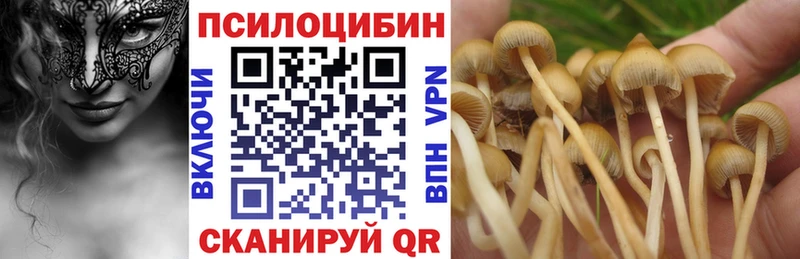 Галлюциногенные грибы прущие грибы  Купить закладки  Салехард 